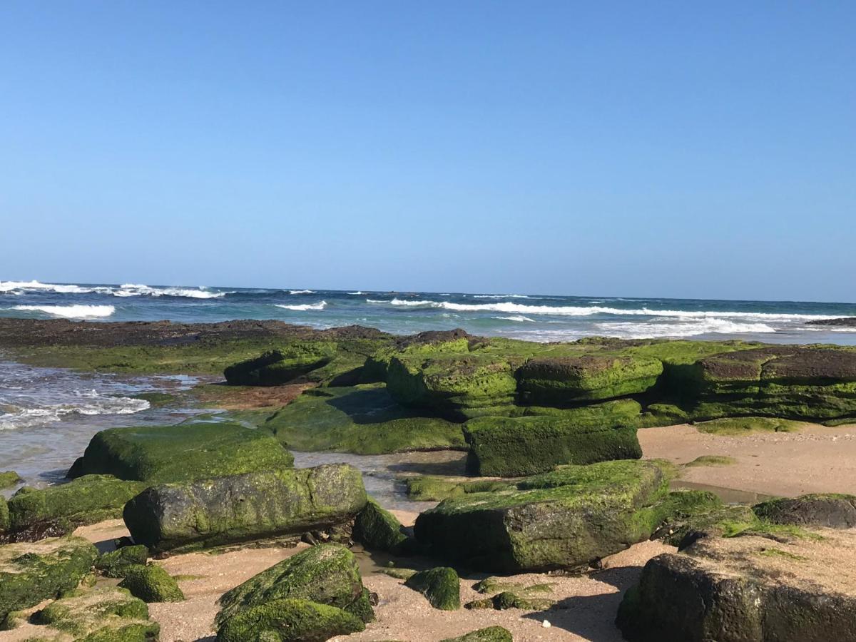 Jetz Bungalow Berrara المظهر الخارجي الصورة
